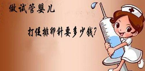 胎儿发育