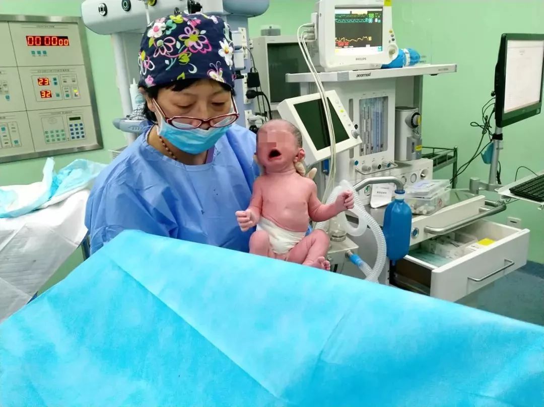 胎儿发育