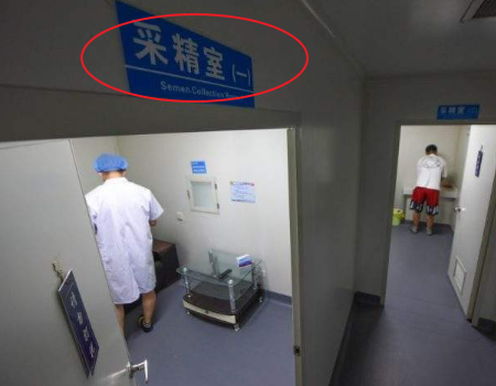 胎儿手发育