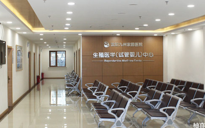胚胎出血