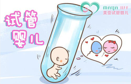 胎盘后壁中段