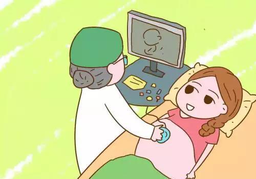 胎儿发育