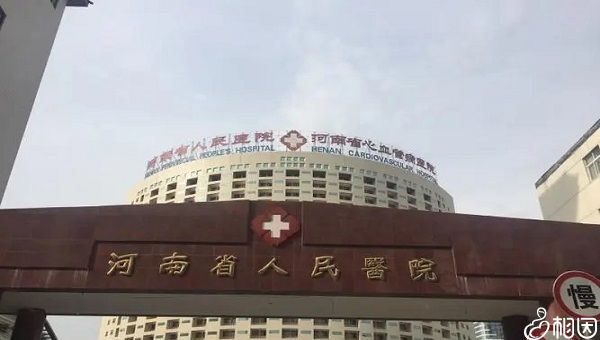 胎儿大小