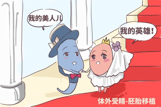 胎儿出生时机
