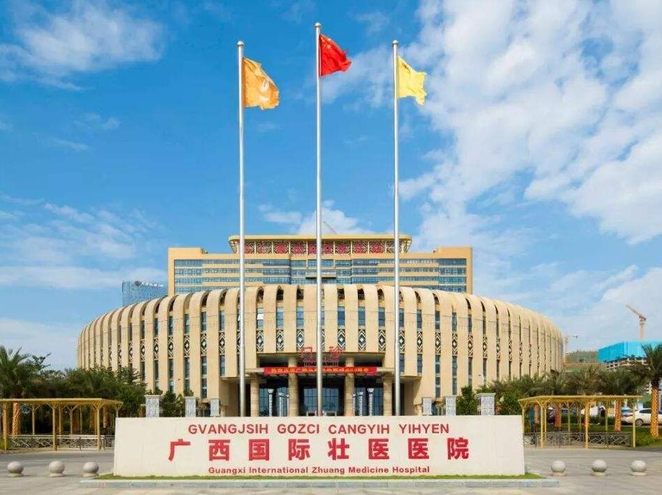 胚胎发育