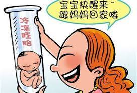 胚胎期