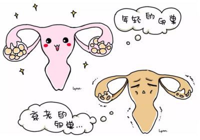 胎教