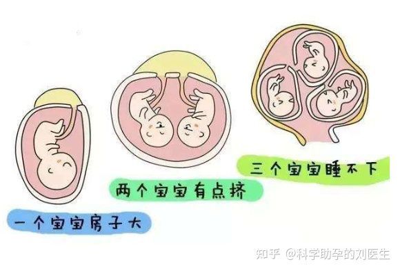 胎儿双顶径