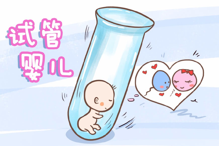 胎儿发育