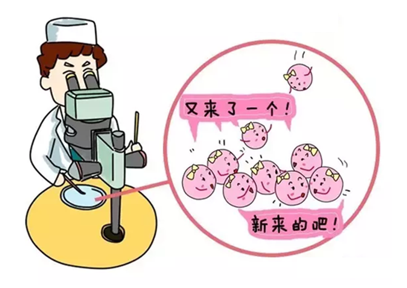胎教