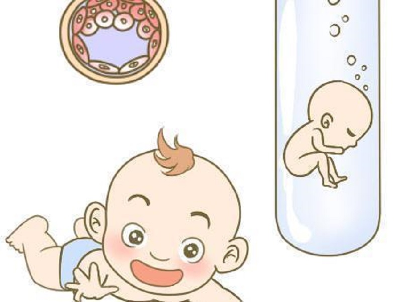 胎儿生长及体重估计软件