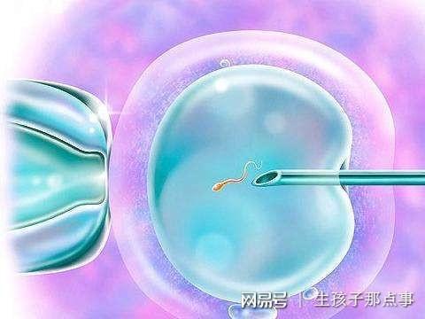 胚胎着床出血