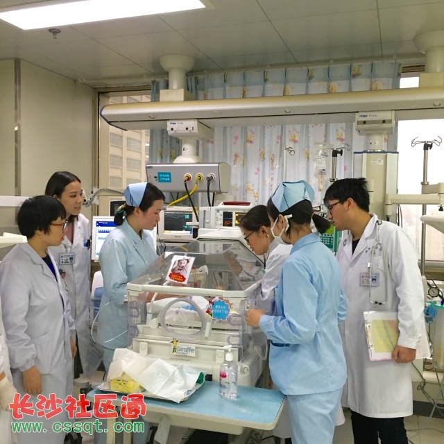 胚胎停育