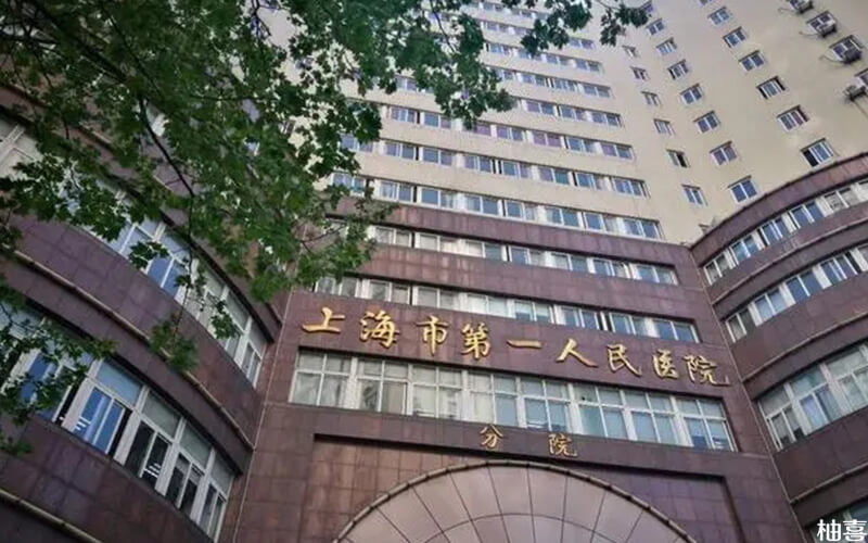 胚胎着床