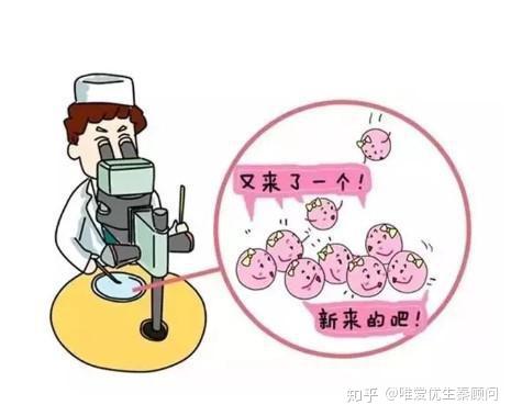 胚胎着床时间