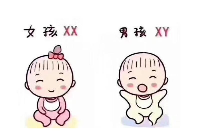 胚胎着床
