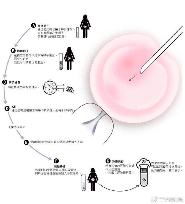 胚胎着床