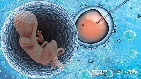 胚胎停育