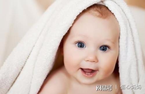 胚胎停育