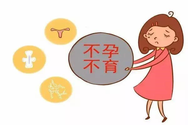 B超检查