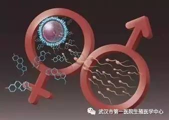 天津试管