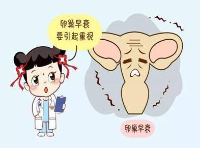 天津试管婴儿