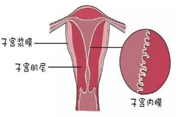 人工授精